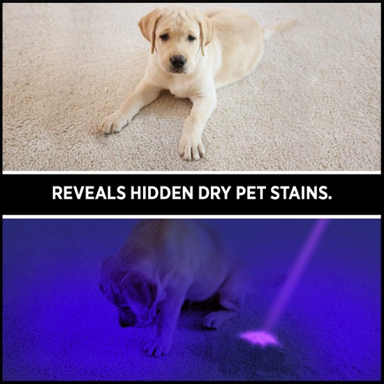 Gear Light Gearlight S100 Uv LED Kalem Tipi El Feneri [2'li Fiyatı