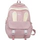  Renk Pembe