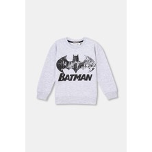 Dagi Gri Sweatshirt