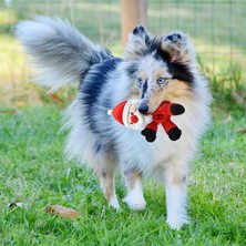 What For Kööpek Yavrusu Oyuncak Şlar Oyuncak Ş Eğlenceli Cırlak (Yurt Dışından)