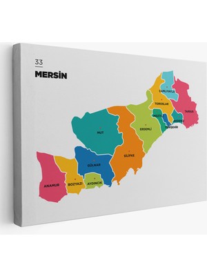 Stok Shop Mersin Ili ve Ilçeler Haritası  Dekoratif Kanvas Tablo 1418