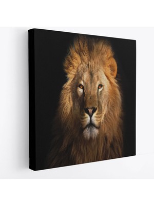 Stok Shop Aslan Dekoratif Kanvas TABLO-5847