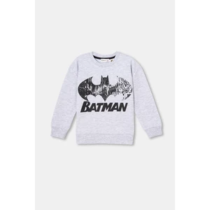 Gri Sweatshirt