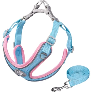 What For Köpek Takımı ve Setıklı Örgüği Eğitim Yürüyüşü Için (Yurt Dışından)