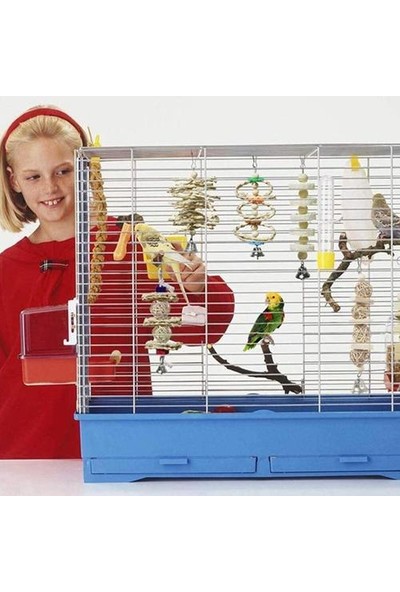 Set Papağan Kuşlar Oyuncak Kiti Köprü Aksesuarları Kuş Oyuncak Ayakta Eğitim Pet Aracı | Kuş Oyuncakları (Yurt Dışından)