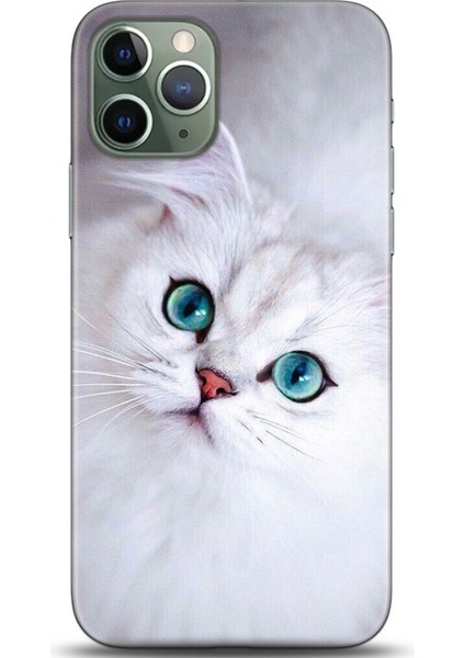 Apple iPhone 12 Kılıf Hd Baskılı Kılıf - Casehub 0667