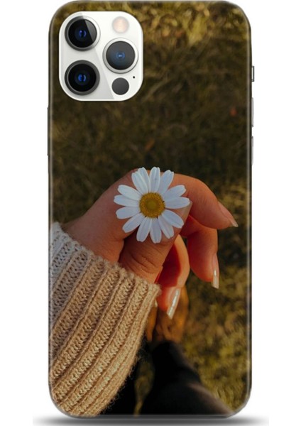 Apple iPhone 12 Pro Kılıf Hd Baskılı Kılıf - 0098