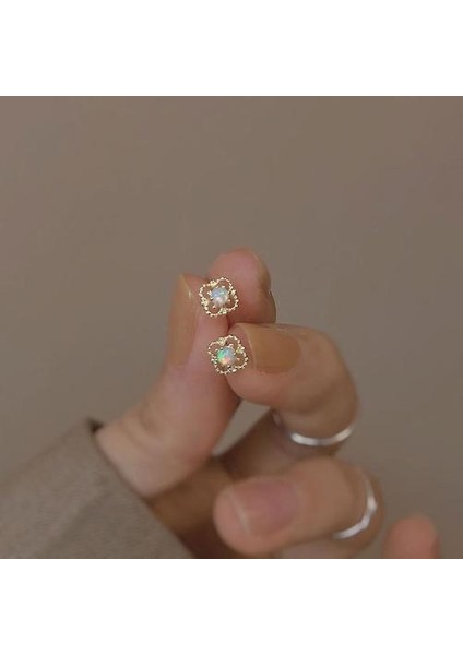 S925 Gümüş Fransız Hollow Dantel Opal Küpe (Yurt Dışından)
