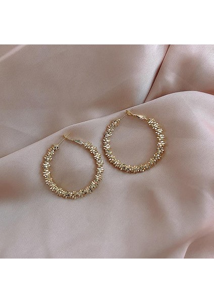 Benzersiz Büyük Daire Metal Küpe (Yurt Dışından) modelleri