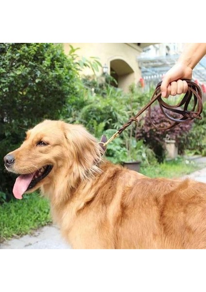 Gerçek Deri Köpek Kurşun Örgülü Büyük Büyük Köpek Tasma Yürüyüş Eğitim Almancası Için Traksiyon Halatı Labrador Husky Köpekler | Tasmalar | Tasmalar (Yurt Dışından) fiyatları