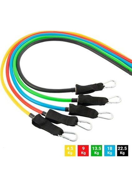 5x Eğitim Kayışları Seti - Farklı Yoğunluk Düzeyleri (Yurt Dışından) fiyatları