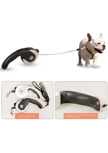 3m Teddy Köpek Yürüyen Tasma, LED Işık Dış Mekan Ücretsiz Retractable (Yurt Dışından) modelleri