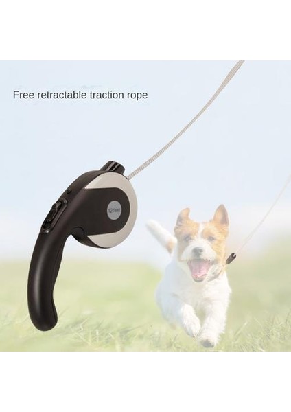 3m Teddy Köpek Yürüyen Tasma, LED Işık Dış Mekan Ücretsiz Retractable (Yurt Dışından) fırsatları