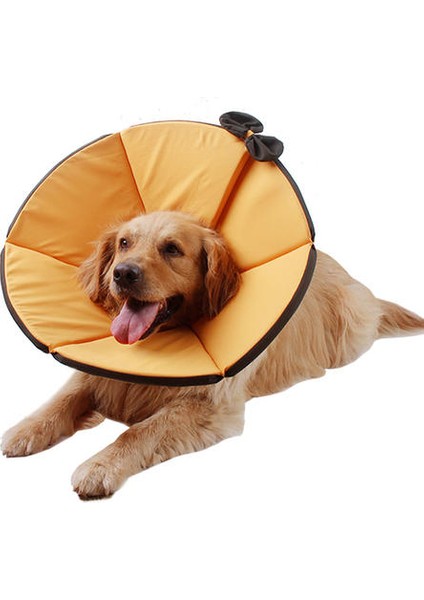 Ayarlanabilir Katlanabilir Su Geçirmez Pet Köpek Boyun Koni Kurtarma Yaka Anti Bite Cerrahisi Yara Şifa (Yurt Dışından)