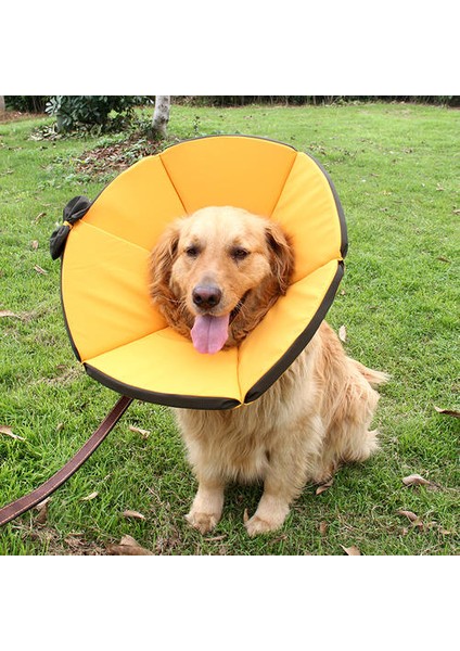Ayarlanabilir Katlanabilir Su Geçirmez Pet Köpek Boyun Koni Kurtarma Yaka Anti Bite Cerrahisi Yara Şifa (Yurt Dışından) fiyatları