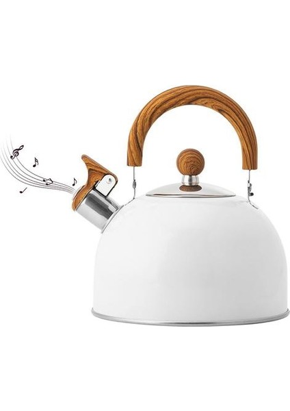 2.5l Isıl Saplı Çay Su Isıtıcısı Isıtılmış Saplı Büyük Kapasiteli Paslanmaz Çelik Çaydanlık Tüm Stovet Için | Su Isıtıcılar (Yurt Dışından)