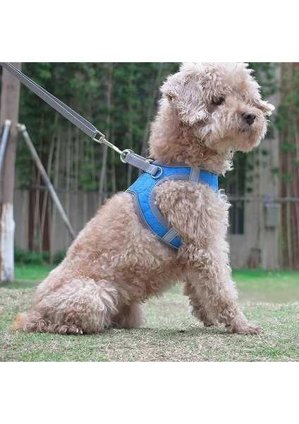 Yumuşak Küçük Orta Köpek Koşum Tasma Seti Yansıtıcı Rahat Pet Yelek Koşum Yastıklı Saplı Kolu Kolay Yürüyüş | Koşumlar (Yurt Dışından) fiyatları
