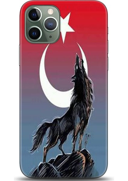Apple iPhone 12 Mini Kılıf Hd Baskılı Kılıf - 0379