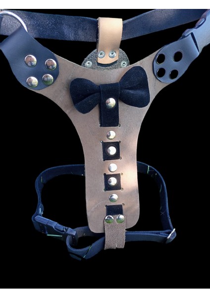 Köpek göğüs tasması hakiki deri vizon siyah papyonlu göğüs ölçüsü:40-70cm boyun ölçüsü:45-60cm ayarlamalı dog harness GT1-30