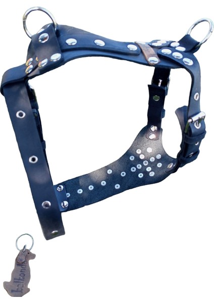 Köpek göğüs tasması hakiki deri metal trok zımbalı siyah göğüs ölçüsü:30-65cm boyun ölçüsü:30-50cm ayarlamalı dog harness GT1-29