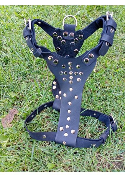 Köpek göğüs tasması hakiki deri metal trok zımbalı siyah göğüs ölçüsü:30-65cm boyun ölçüsü:30-50cm ayarlamalı dog harness GT1-29