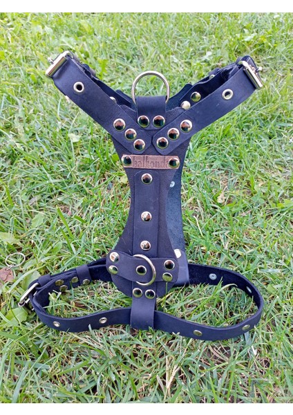 Köpek göğüs tasması hakiki deri metal trok zımbalı siyah göğüs ölçüsü:30-65cm boyun ölçüsü:30-50cm ayarlamalı dog harness GT1-29