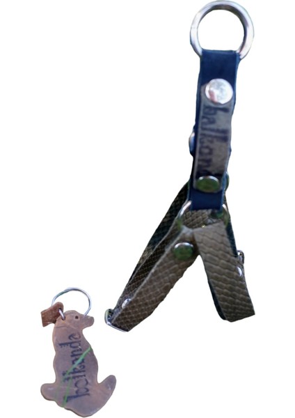 Köpek göğüs tasması hakiki deri minik ırk yeşil genişlik:1,5cm göğüs ölçüsü:25-40cm ayarlamalı dog harness GT1-27 fiyatları