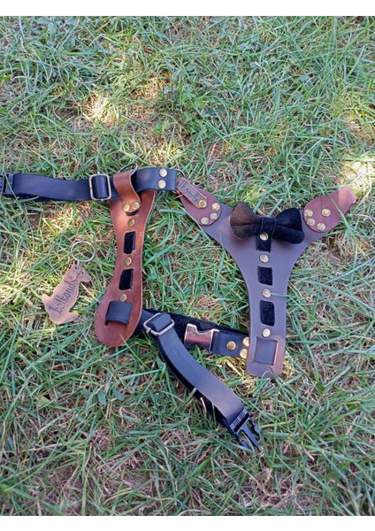 Köpek göğüs tasması hakiki deri kahverengi siyah papyonlu göğüs ölçüsü:30-55cm boyun ölçüsü:25-40cm ayarlamalı dog harness GT1-28K