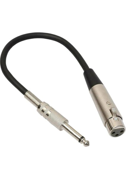 Enstrüman Xlr 3p Fiş - 1/4'' 6.35MM Dişi Mono Jak 3m (Yurt Dışından)