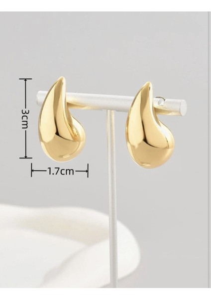 Bottega Küpe Vip İthal Zirkon Kararmaz Kadın Küpe modelleri