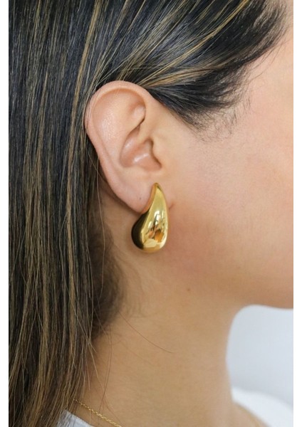 Bottega Küpe Vip İthal Zirkon Kararmaz Kadın Küpe fırsatları