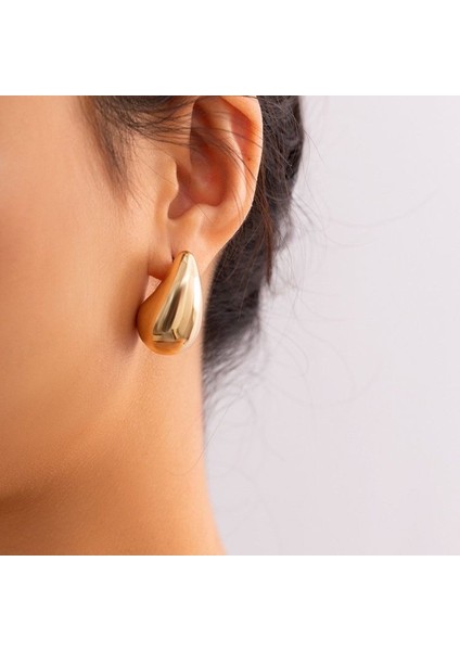 Bottega Küpe Vip İthal Zirkon Kararmaz Kadın Küpe indirimleri