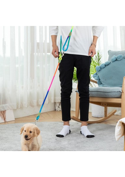 Köpek Ipi Büyüköpek Çekiş Ipi Leashes Çok (Yurt Dışından)