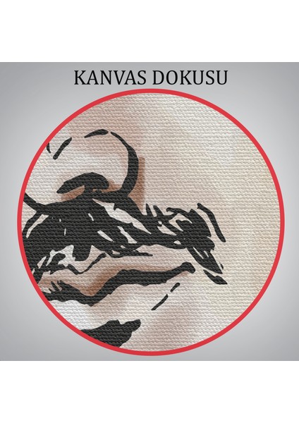 Nikola Tesla Dekoratif Kanvas Tablo 5917