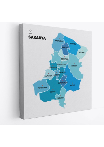 Sakarya Ili ve Ilçeler Haritası Dekoratif Kanvas Tablo 1444