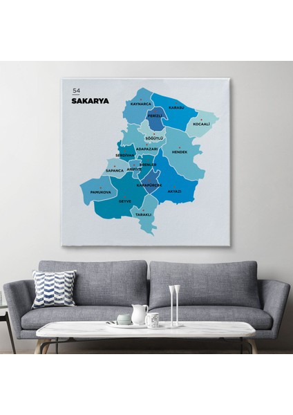 Sakarya Ili ve Ilçeler Haritası Dekoratif Kanvas Tablo 1444