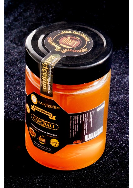 Çam Balı 450 gr fiyatları