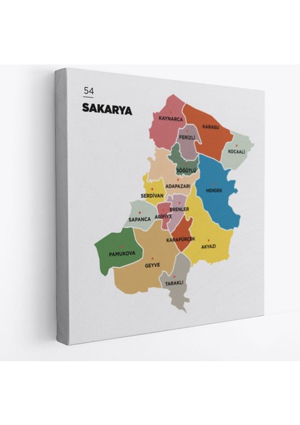 Sakarya Ili ve Ilçeler Haritası Dekoratif Kanvas Tablo 1443