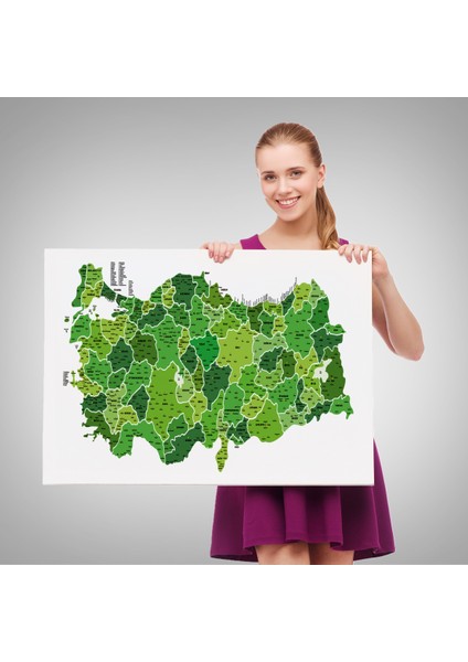 Türkiye Haritası Kanvas Tablo Il ve Ilçeli Ayrıntılı Eğitici Dekoratif Tablo 3035 fırsatları