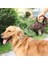 Gerçek Deri Köpek Kurşun Örgülü Büyük Büyük Köpek Tasma Yürüyüş Eğitim Almancası Için Traksiyon Halatı Labrador Husky Köpekler | Tasmalar | Tasmalar (Yurt Dışından) 2