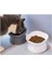 Pet Malzemeleri Cat Bowl, Servikal Omurga, Eğik Ağız, Anti-Overdourning Içme Kasesi (Yurt Dışından) 4