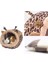 Chinchilla Kirpi Ginesi Domuz Yatak Aksesuarları Kafes Oyuncaklar Sakallı Dragon House Hamster Malzemeleri Habitat | Kafesler (Yurt Dışından) 2