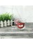 500 ml Cam Kupa Yaratıcı Kahve Süt Kupalar Kahvaltı Kupalar Süt Limon Suyu Kupası Mikrodalga Güvenli Ev Yenilik Hediyeler | Gravür (Büyük Buck Dişleri) (Yurt Dışından) 2