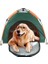 Köpek Kennel Taşınabilir Çadır Kafesi Su Geçirmez House Köpek Kedi Için Katlanabilir Pet Arzı | Çadırlar (Yurt Dışından) 1