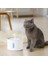 Otomatik Pet Kedi Su Çeşmesi LED Elektrikli USB Köpek Kedi Pet Sessiz Drinker Besleyici Kase Pet Içme Çeşmesi Dispenseri | Köpek Besleme (Yurt Dışından) 3