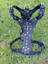 Köpek göğüs tasması hakiki deri metal trok zımbalı siyah göğüs ölçüsü:30-65cm boyun ölçüsü:30-50cm ayarlamalı dog harness GT1-29 4