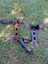 Köpek göğüs tasması hakiki deri kahverengi siyah papyonlu göğüs ölçüsü:30-55cm boyun ölçüsü:25-40cm ayarlamalı dog harness GT1-28K 5