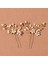 0016 Altın Floralbride Alaşım Gümüş Renk Temizle Kristal Rhinestones Gelin Saç Tokası Düğün Saç Etiket Kadın Nedime Saç Aksesuarları (Yurt Dışından) 1