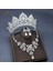 C110 3pcs Set A07 Kadın Klasik Düğün Takı Seti Rhinestone Tiaras Taç Kolye Küpe Seti Pageant Diadem Gelin Dubai Takı Seti (Yurt Dışından) 1