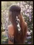 Ly Çingene Moda Güzel Boho Tarzı Tüy Kafa Bandı Headdress Tribal Saç Tüy Halat Başlıklar Hippi Parti Hint Takı (Yurt Dışından) 2